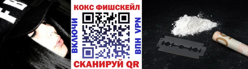 COCAIN Fish Scale  закладка  Поронайск 