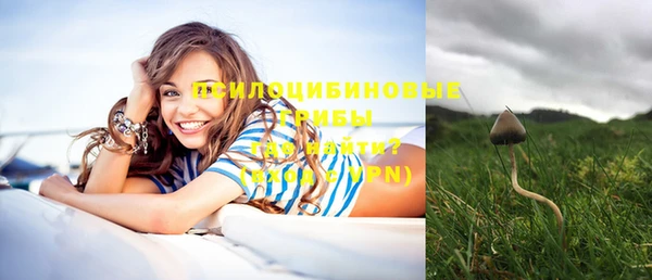 соль ск Горно-Алтайск