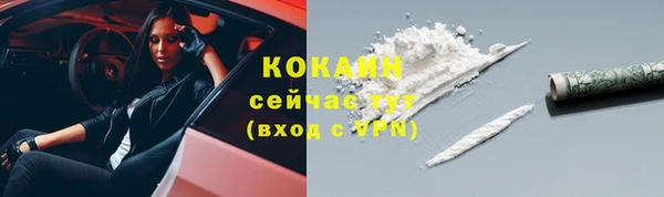 apvp Горнозаводск