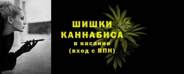 apvp Горнозаводск