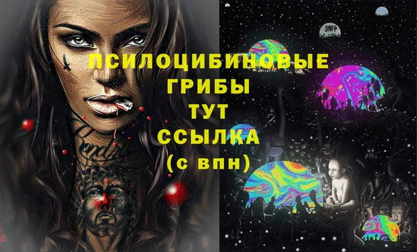 apvp Горнозаводск