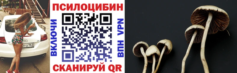дарнет шоп  Поронайск  Псилоцибиновые грибы Psilocybe 